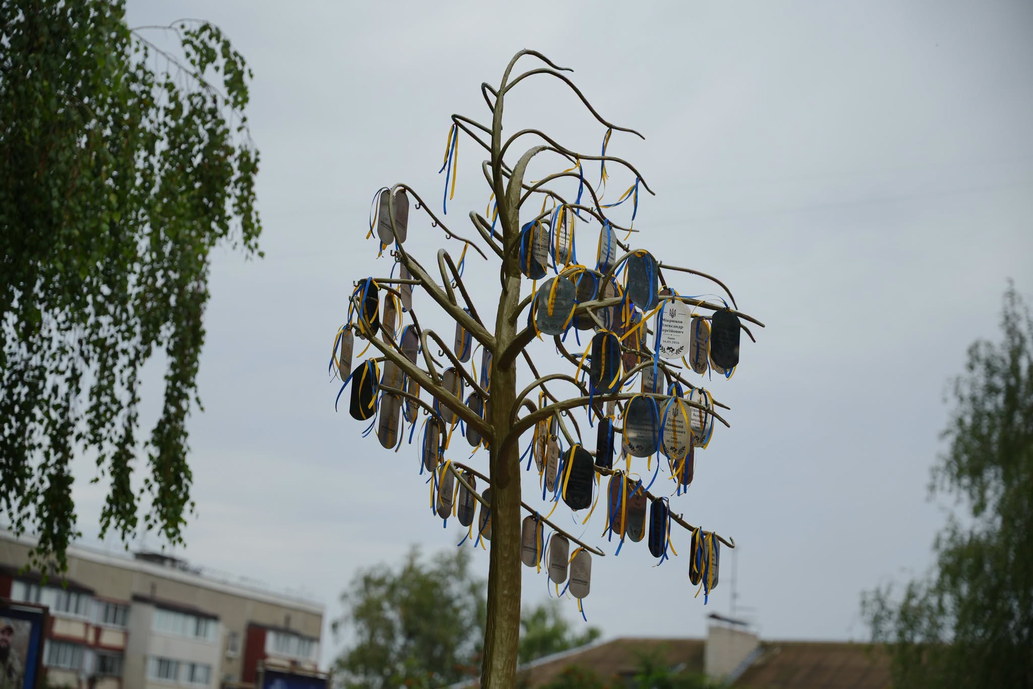 The "Tree of Hope" was installed in Bilohorod community to support families of missing defenders
